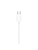 Apple EarPods USB-C