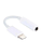 APPLE LIGHTNING TO HEADPHONE JACK ADAPTER 3.5MM